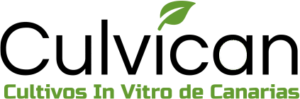 Cultivos In Vitro de Canarias
